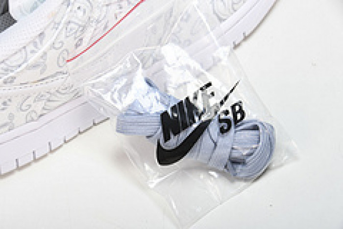 Nike Dunk Low DJ9955-100