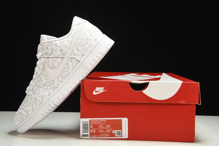 Nike Dunk Low DJ9955-100