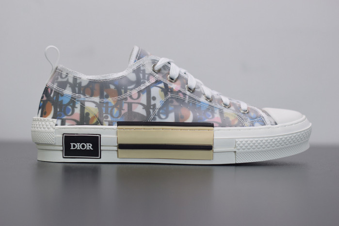 D10R B23 Oblique  Low Top Sneakers L00N4